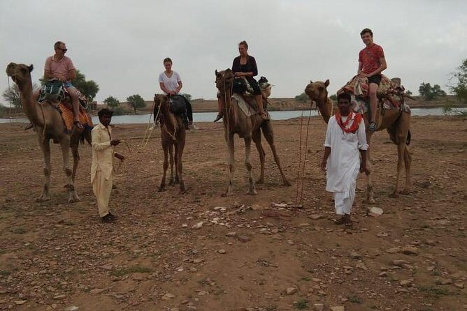 Over Night Camel Safari - Key Things You’ll Actually Care About