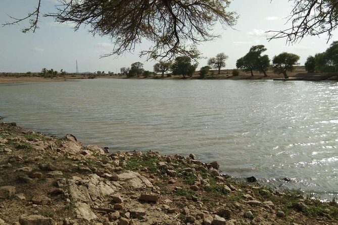 Over Night Camel Safari - Why This Overnight Thar Safari Beats a Day Trip