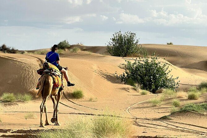 Overnight Camel Safari in Thar Desert - Getting to the dunes: jeep ride, Kuldhara, and a Jaseri pond break
