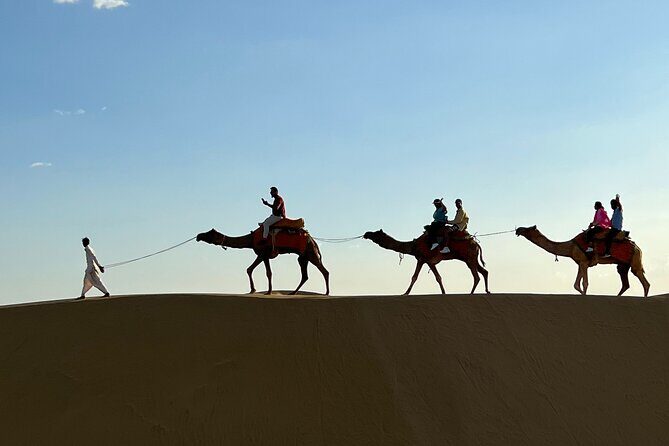 Overnight Camel Safari in Thar Desert - Price and value: what $39 includes (and what costs extra)