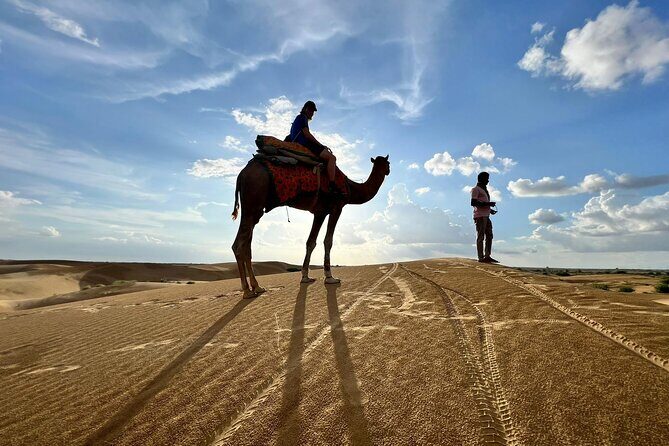 Overnight Camel Safari in Thar Desert - Camel time through golden dunes (and what to expect on the saddle)