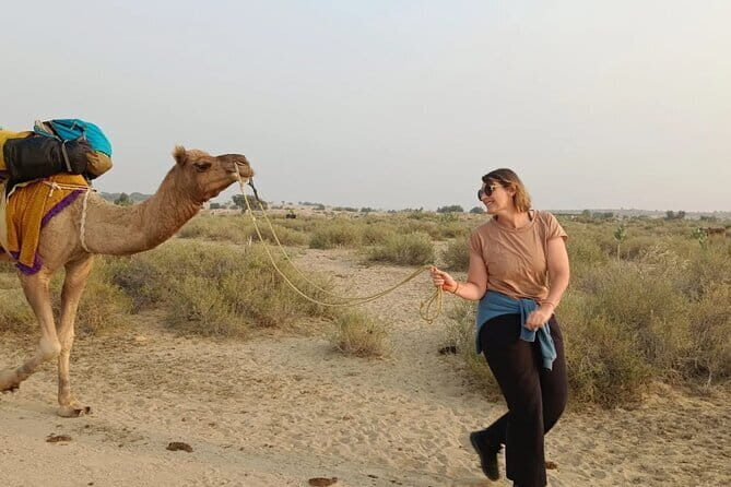 Overnight Camel Safari Tour - Key Highlights You’ll Care About
