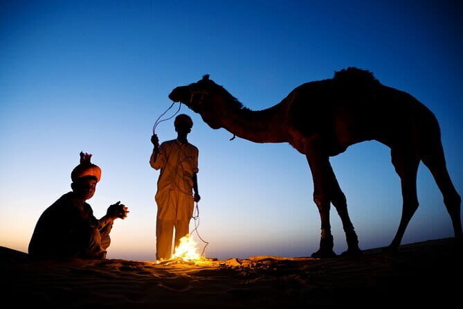 Overnight Camel Safari Tour - The Camp Night: Dinner by Fire, Warm Bedding, and Starry Time