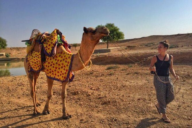 Overnight Camping With Camel Safari In Jaisalmer - Swiss tent night (Oct–Mar) versus hut season (May–Sep)