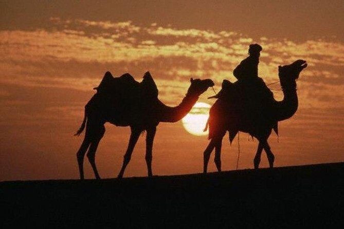 Overnight Camping With Camel Safari In Jaisalmer - Price and logistics: what you’re really paying for