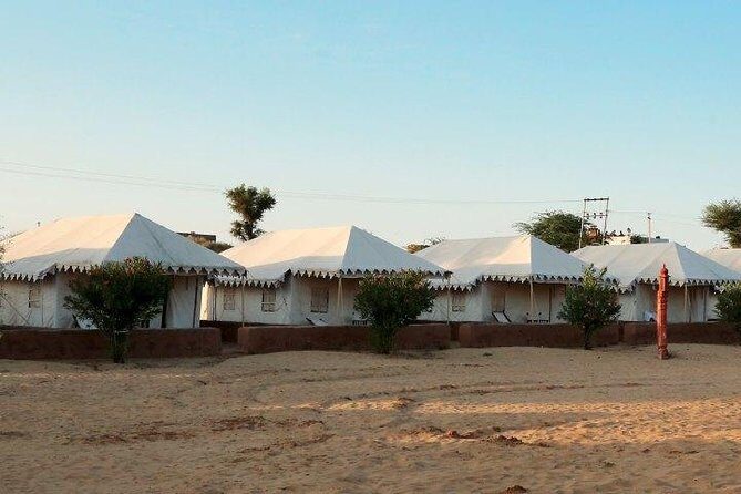 Overnight Camping With Camel Safari In Jodhpur - A one-night desert break from Jodhpur, built for people on a clock