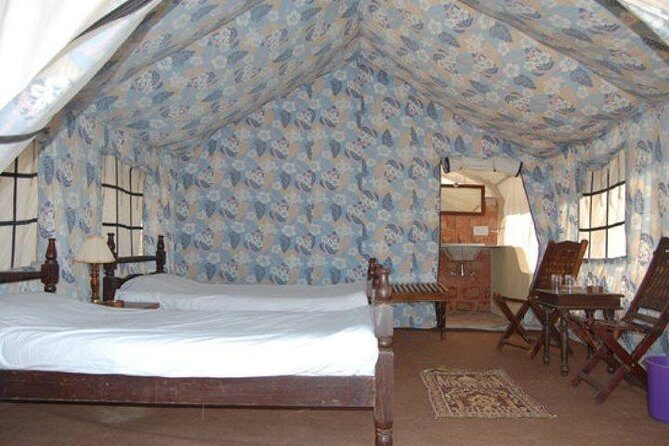 Overnight Camping With Camel Safari In Jodhpur - Pickup, transport, and the private-tour feel