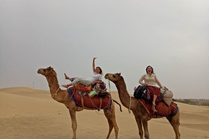 Overnight Desert Adventure Safari - Morning Departure - Morning starts mean extra camel time in the Thar Desert