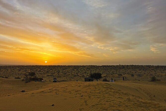 Overnight Non Touristic - Desert National Park wildlife time: what you’re really paying for