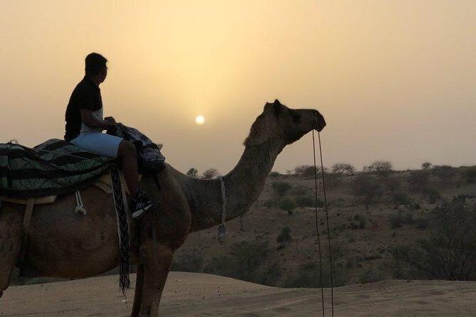 Overnight Stay In Swiss Tent With Camel Safari & Folk Dance - Getting out of Jodhpur fast: the Osian transition