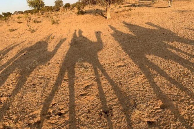Overnight Stay In Swiss Tent With Camel Safari & Folk Dance - Camelback into the Thar: pace, views, and what to expect