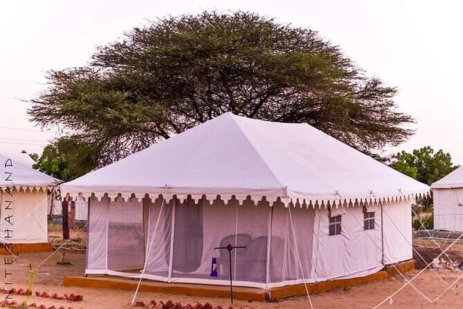 Package tour for Rajasthan - Why This Trip Works Like a Private Team, Not Just a Schedule