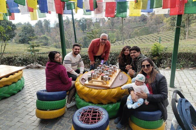 Palampur Tea Garden Tour - Palampur Tea Gardens: why Kangra tea tastes like it has a point