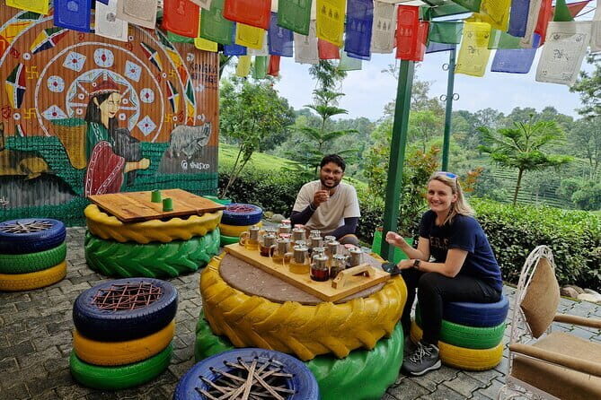 Palampur Tea Garden Tour - Price and value: what $39.67 buys you (and what it doesn’t)