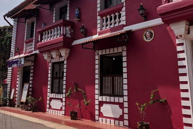 Panaji City Tour with museum visit - Goa State Museum in a former palace: where politics meets architecture