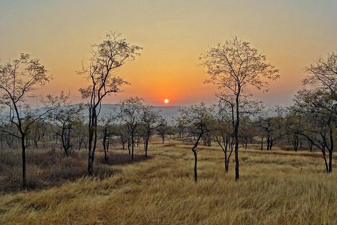 Panna Tiger Reserve Tour from Khajuraho - Who This Tour Fits Best (and Who Should Reconsider)