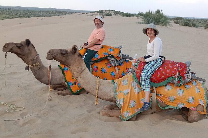 Pleasant Non-Touristic Overnight Camel Safari (From 2:00 PM to Approx. 10:30AM) - The 2:00 PM to ~10:30 AM timing you should plan for