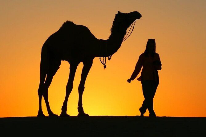 Pleasant Sunset Safari With Dinner On Dunes (From 2:00 PM to Approx. 10:00 PM) - Key Points You’ll Care About