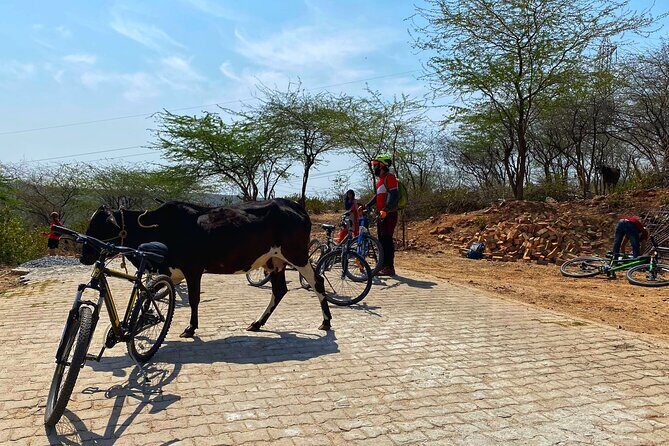 Premium Delhi Aravalli Organic Cycle Tour - A glimpse of Real and Rural India - Entering Mangar: Sacred Groves, Village Life, and Pale Roots
