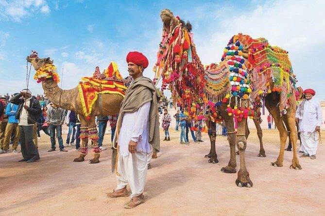 Private 11 Days India Cultural Rajasthan Tour - Price and Value: What $803 Covers (and What It Doesn’t)
