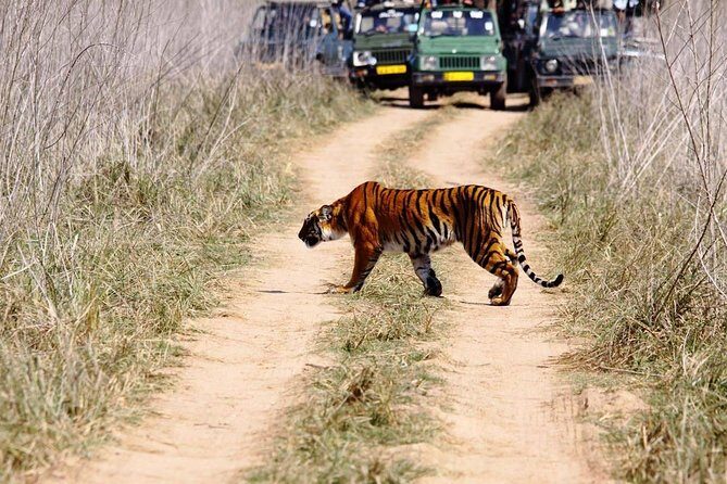 Private 2 Nights Short Escape To Jim Corbett - Pickup and the Drive to Uttarakhand (What to Expect on Day 1)
