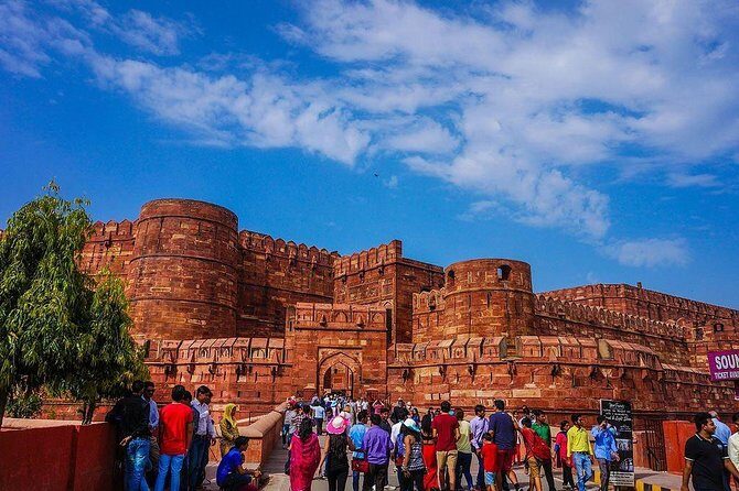 Private 3-Day Ranthambhore Tiger Tour from Agra ending in Jaipur - Amber Fort and Jal Mahal photos: the best kind of controlled sightseeing