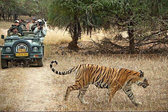 Private 3-Day Ranthambhore Tiger Tour from Agra ending in Jaipur - Agra Fort after breakfast: what it adds beyond the Taj