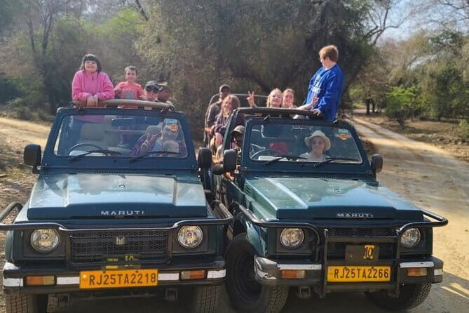 Private 4-Day Tiger Safari & Golden Triangle Tour from Delhi - Jaipur Day 4: Amber Fort, Jal Mahal, City Palace, Jantar Mantar, and Hawa Mahal