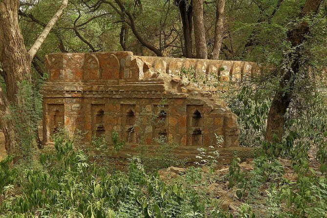 Private 4-Day Tiger Safari & Golden Triangle Tour from Delhi - Getting there and getting around: private car comfort, shared safari reality