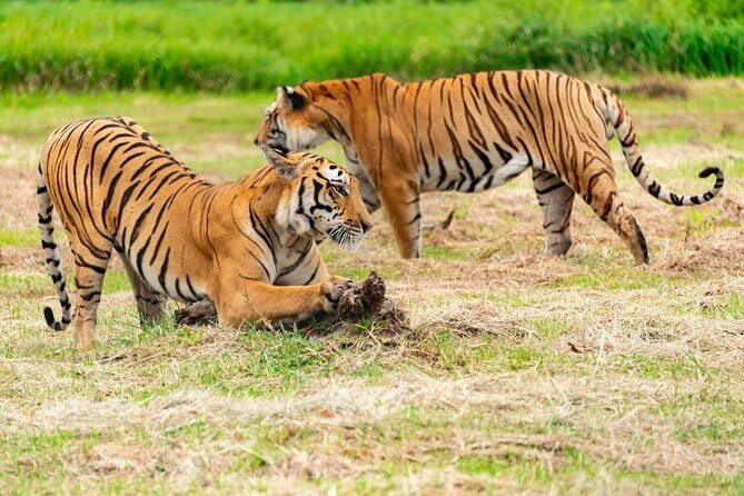 Private 4-Day Tiger Safari & Golden Triangle Tour from Delhi - Day 1 in Delhi: Qutub Minar to Chandni Chowk, with a real-world break for lunch