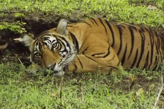 Private 4-Day Wildlife & Taj Mahal Tour from Jaipur to Delhi - Delhi’s monument mix: the Mughal + modern combo that keeps things moving