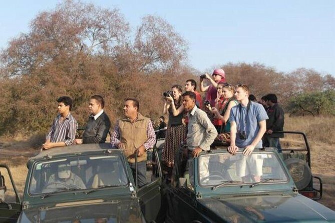 Private 4-Day Wildlife & Taj Mahal Tour from Jaipur to Delhi - Keoladeo Ghana Bird Sanctuary: rickshaw time for serious birdwatching energy