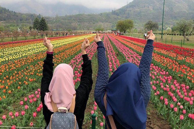 Private 4 Days Kashmir Tour Package - Key highlights at a glance