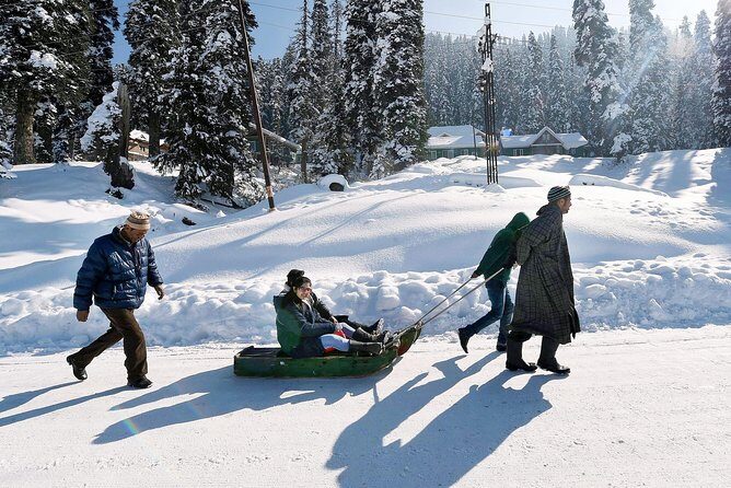 Private 4 Days Kashmir Tour Package - Why this private 4-day Kashmir plan works (and for whom)