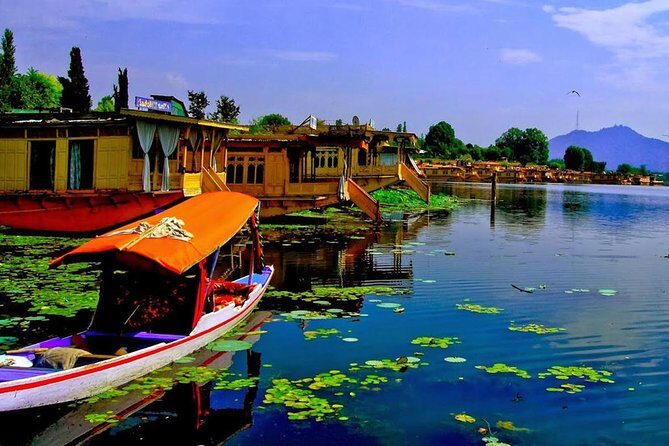 Private 4 Days Kashmir Tour Package - The private-guide advantage in Srinagar (beyond just transportation)