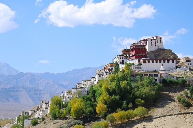 Private 6 Days Tour Visit to Ladakh with Meals Included - Day 6: Leh airport transfer and a smooth finish