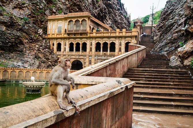 Private 6 Hours: Jaipur Temples Tour - Khole Ke Hanuman JI: Monkey God Visits on Tuesdays