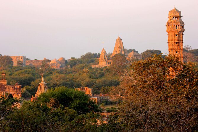 Private 7 Day Tour of Udaipur Chittorgarh Pushkar and Jaipur - A Private 7-Day Rajasthan Route That Stays Manageable
