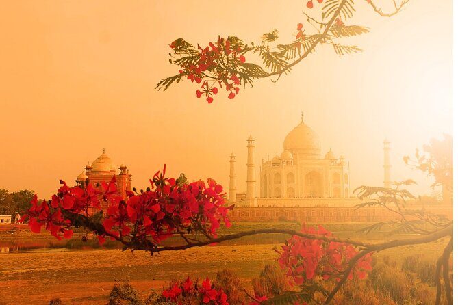Private Agra Taj Mahal Tour by Car from Delhi - Driver and Guide: The Difference Between Rushed and Smooth