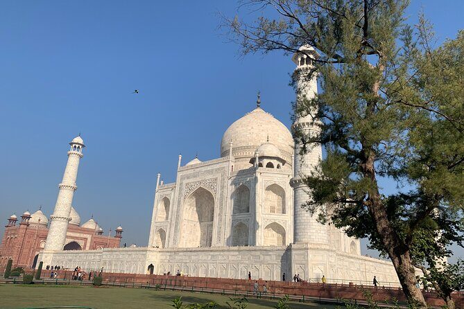 Private Agra Tour - Taj Mahal, Agra Fort & Baby Taj (Daytrip from Delhi) - Pace check: when the itinerary feels perfect and when it feels rushed