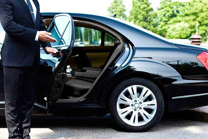 Private Airport Transfer Arrival from Delhi Airport to Your Hotel - Key things that stand out