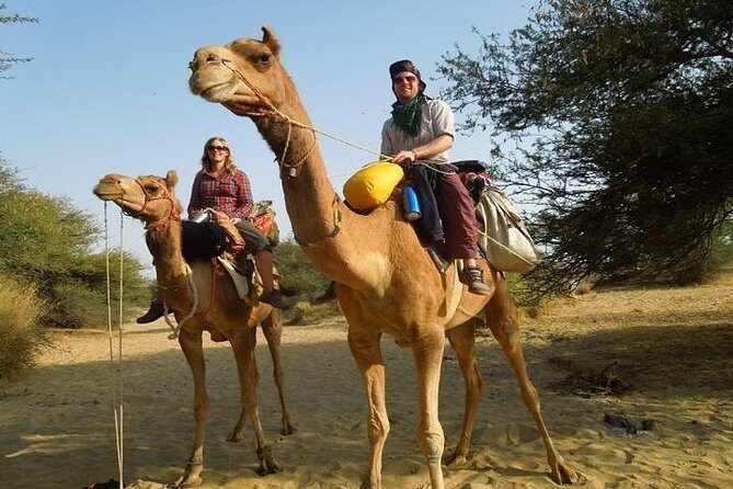 Private Chandigarh Day Trip from New Delhi - Key things to know before you go