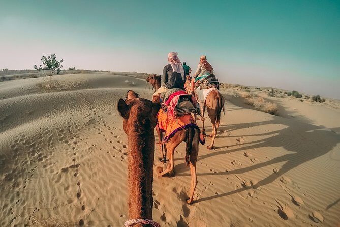 Private day tour pushker - Key Things I’d Prioritize on This Pushkar Day Tour