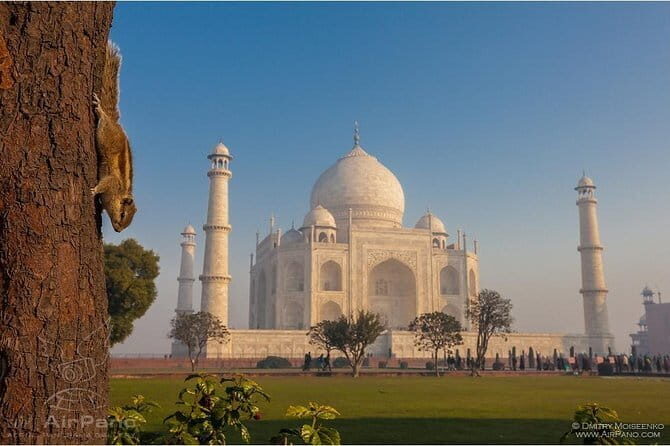 Private Day Tour to Taj Mahal and Agra Fort from Delhi by Car - Key things I’d plan for before you go