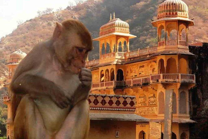 Private Day Trip to Abhaneri Stepwell & Monkey Temple from Jaipur - Jaipur Pickup, Private A/C Vehicle, and a Realistic 6–7 Hour Day