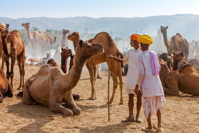 Private Day Trip to Ajmer and Pushkar from Jaipur - Pushkar Lake and the ghats: holy water views in every direction