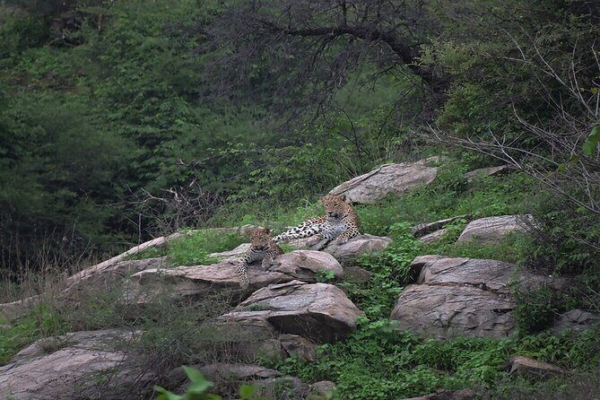 Private Day Trip to Kumbhalgarh Fort and Ranakpur from Udaipur - What to bring for comfort and less hassle