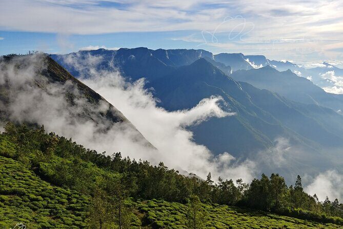 Private Day Trip to Munnar from Kochi (Cochin) - A Very Early Start From Kochi at 6:30 AM