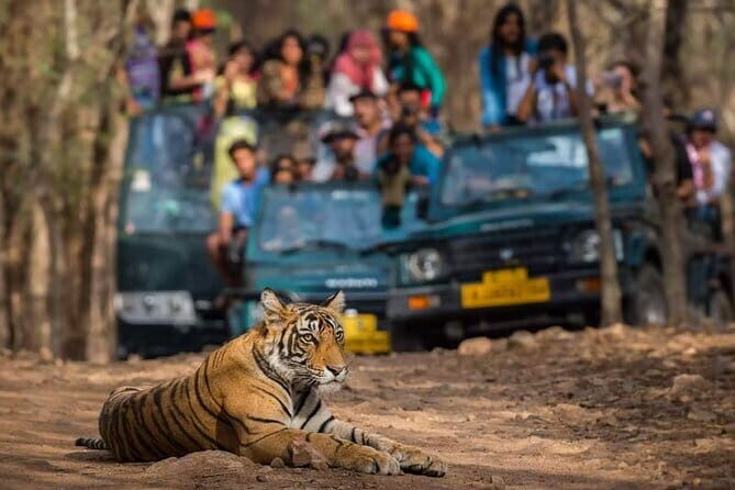 Private Delhi Agra Jaipur Multi Day Tour - Key things I’d bet you’ll care about
