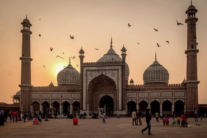 Private Delhi City Tour Including New Delhi and Old Delhi - Price and Value: What a $20 Private Day Adds Up To